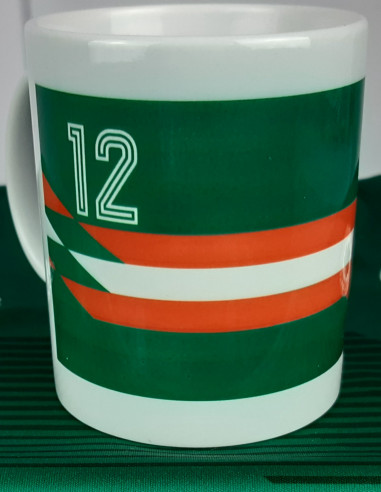 YBIG Ireland Fans Mug | Euro 88 | Green