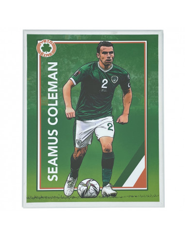 Séamus Coleman Wall Canvas Art | (A4)