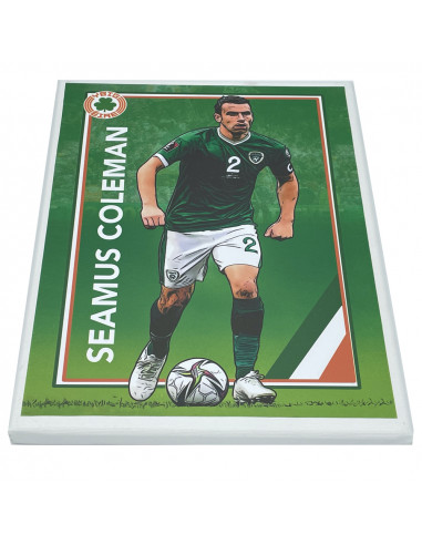 Séamus Coleman Wall Canvas Art | (A4)