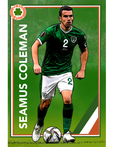 Séamus Coleman Wall Canvas Art | (A4)